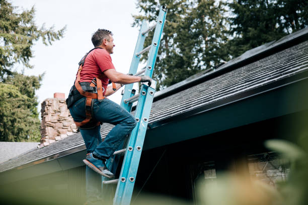 Best Roof Moss and Algae Removal  in Ida Grove, IA